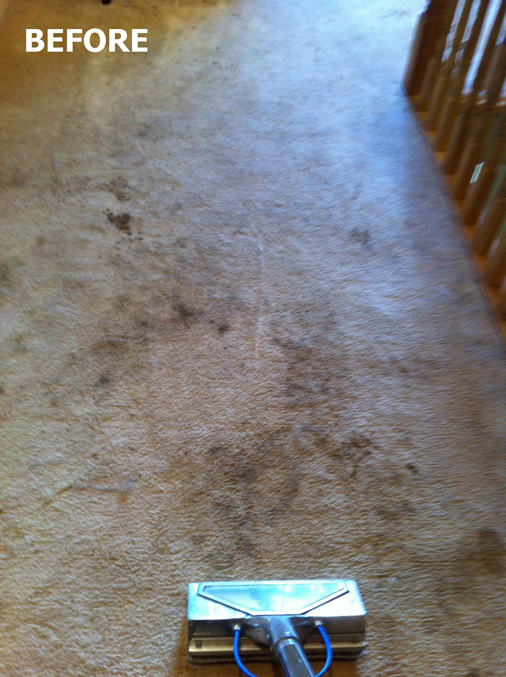 Carpet Cleaning Cork